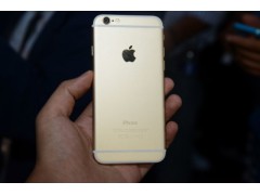 苹果 iPhone 6 plus