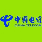 中国电信集团有限公司将乐分公司
