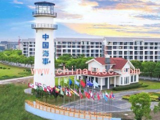 上海海事大学获批国家级技术与创新支持中心筹建机构，临港新片区知识产权保护事业按下“快进键”