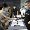 参观者在世界人工智能大会的展览现场与使用仿生机械手的展方工作人员握手