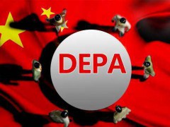中国加入《数字经济伙伴关系协定》（DEPA）工作组正式成立